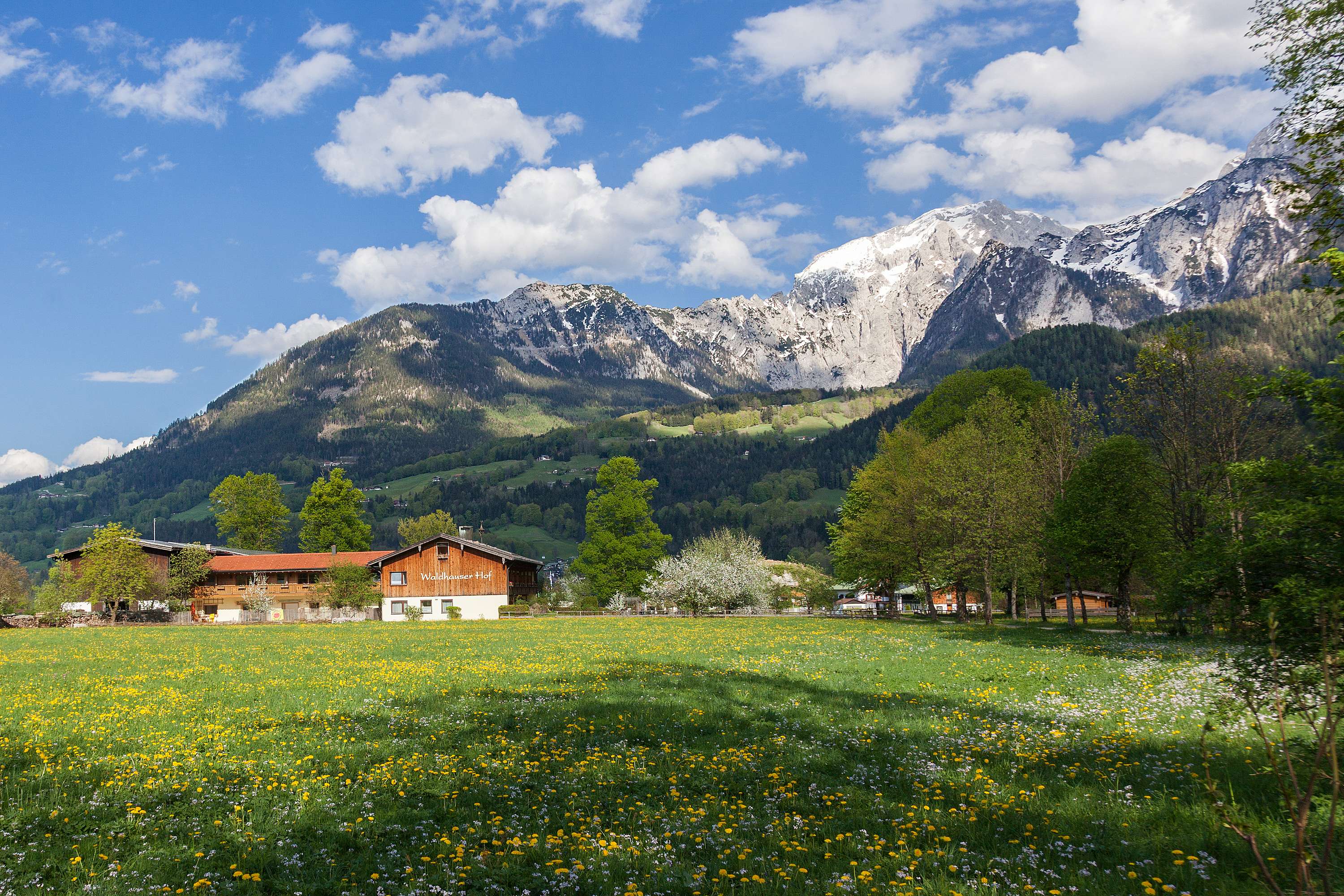 Waldhauser Hof