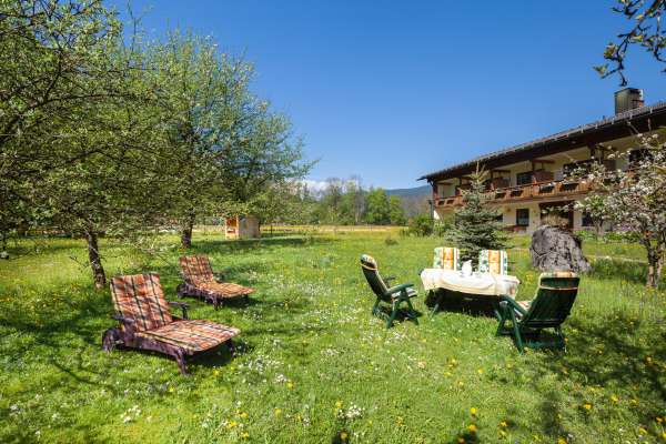 Bild aus der Galerie