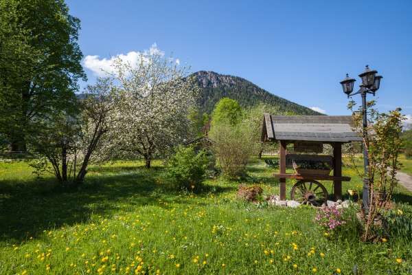 Bild aus der Galerie