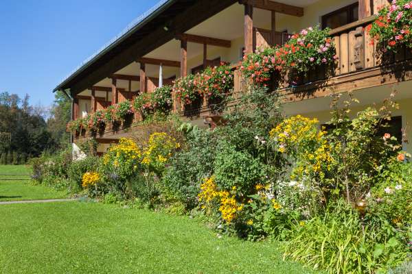 Bild aus der Galerie