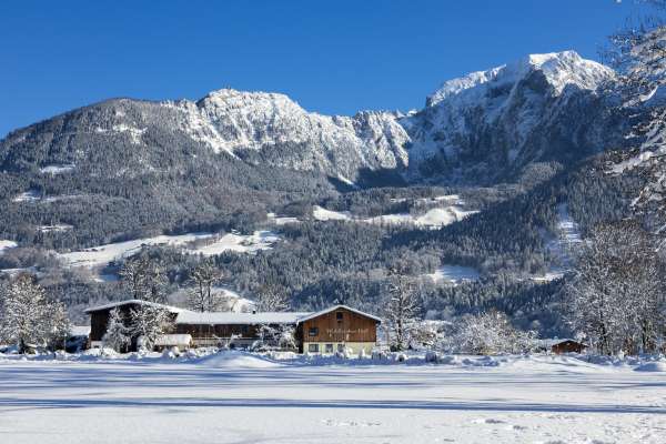 Bild aus der Galerie