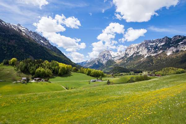 Bild aus der Galerie