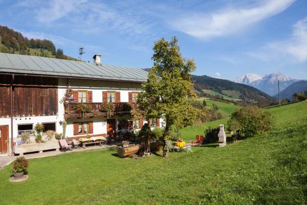 Bild aus der Galerie