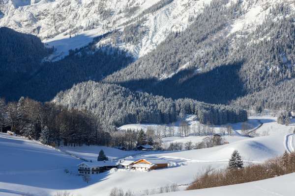 Bild aus der Galerie