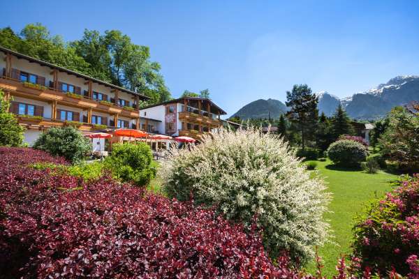 Bild aus der Galerie