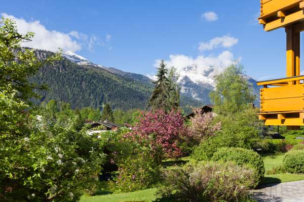 Bild aus der Galerie