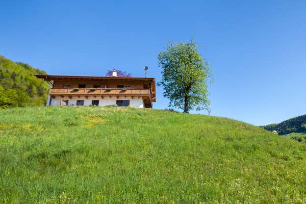 Bild aus der Galerie