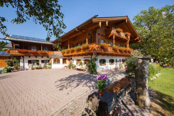 Bild aus der Galerie