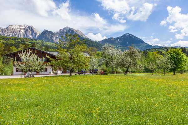 Bild aus der Galerie