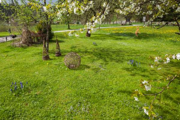 Bild aus der Galerie