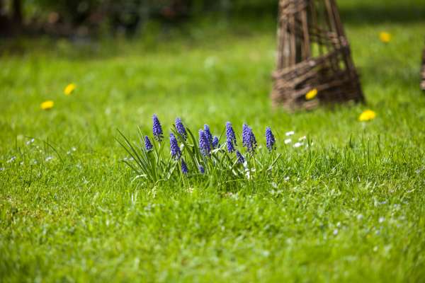 Bild aus der Galerie