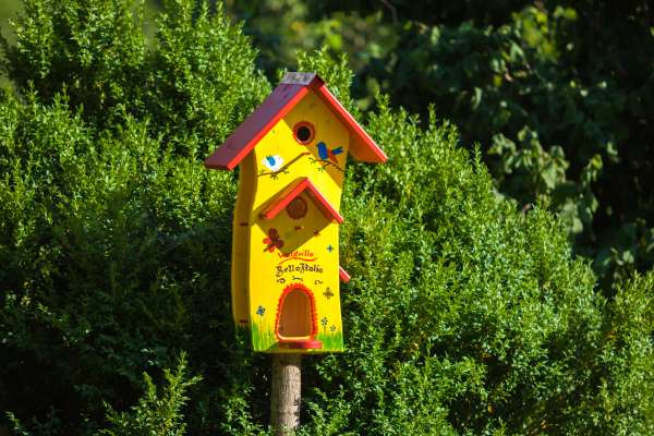 Bild aus der Galerie