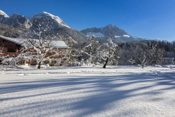 Bild aus der Galerie