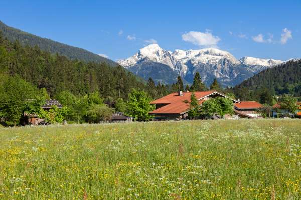 Bild aus der Galerie