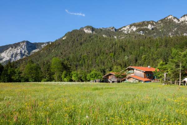 Bild aus der Galerie