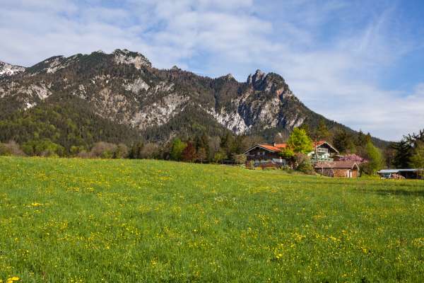 Bild aus der Galerie