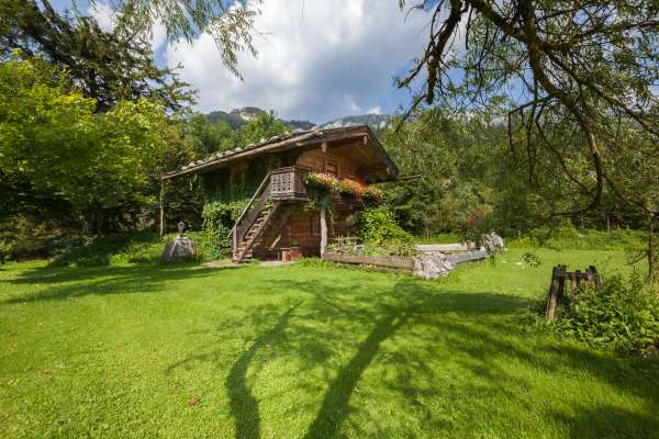 Bild aus der Galerie