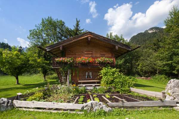 Bild aus der Galerie