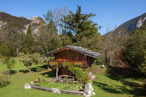 Bild aus der Galerie