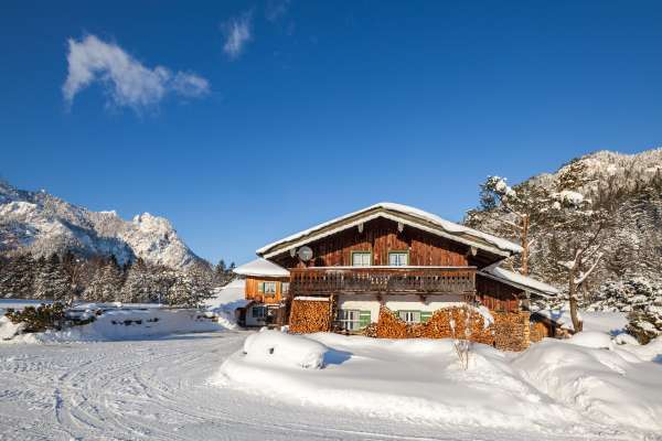 Bild aus der Galerie