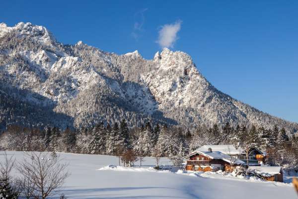 Bild aus der Galerie