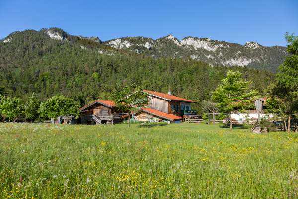 Bild aus der Galerie