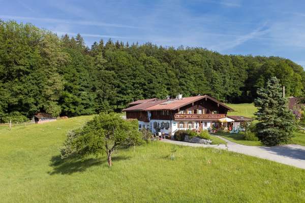 Bild aus der Galerie