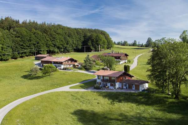 Bild aus der Galerie