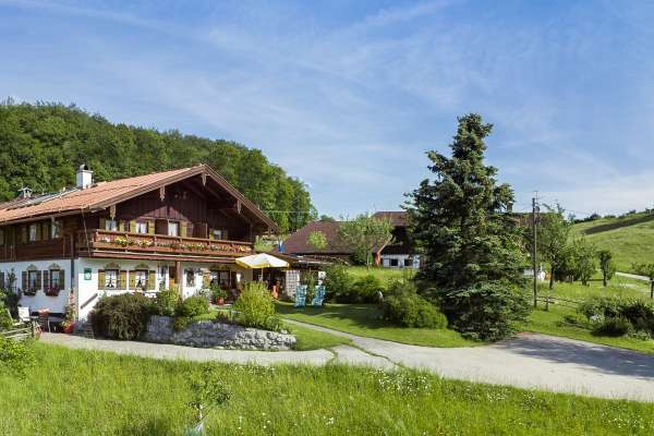 Bild aus der Galerie