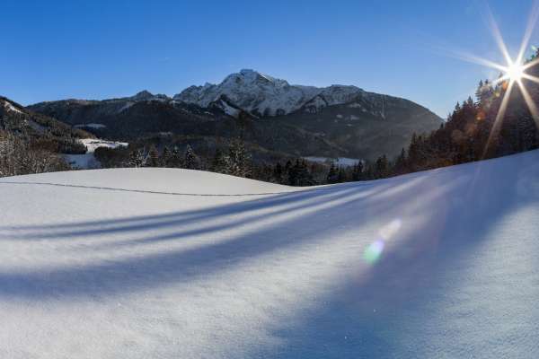 Bild aus der Galerie