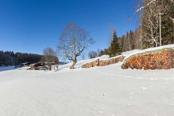 Bild aus der Galerie