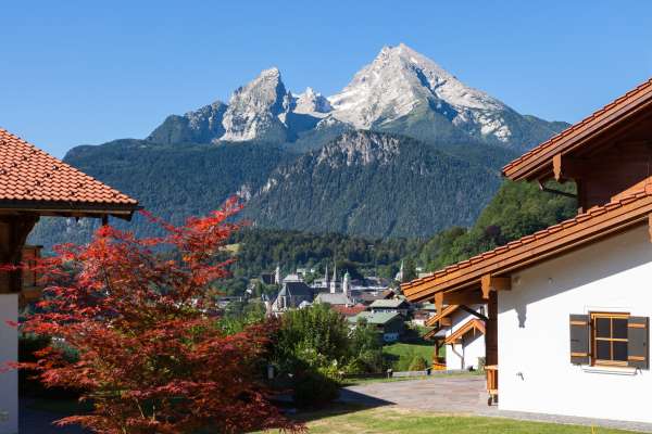 Bild aus der Galerie