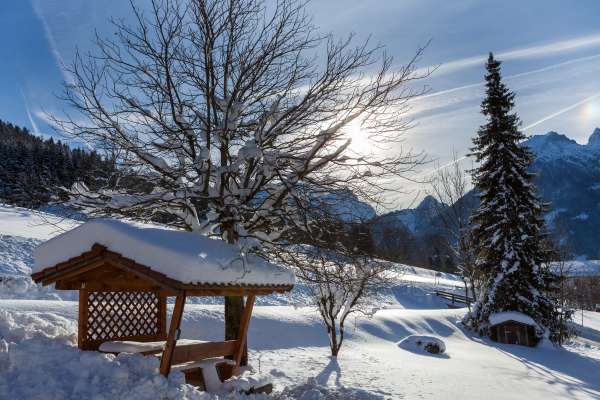 Bild aus der Galerie