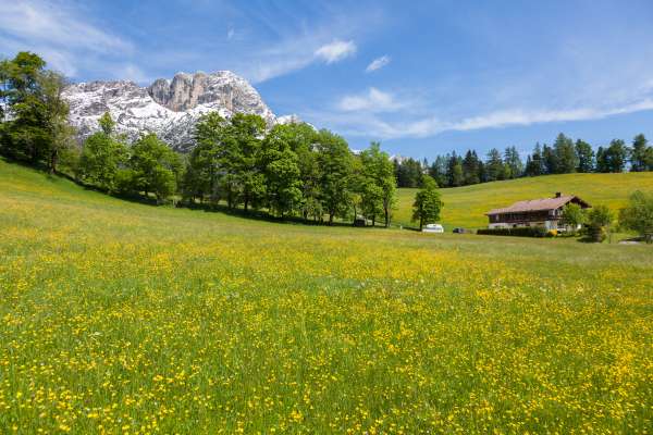 Mehr zu Haus Sonnseitn