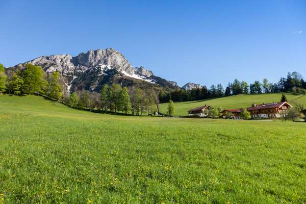 Bild aus der Galerie