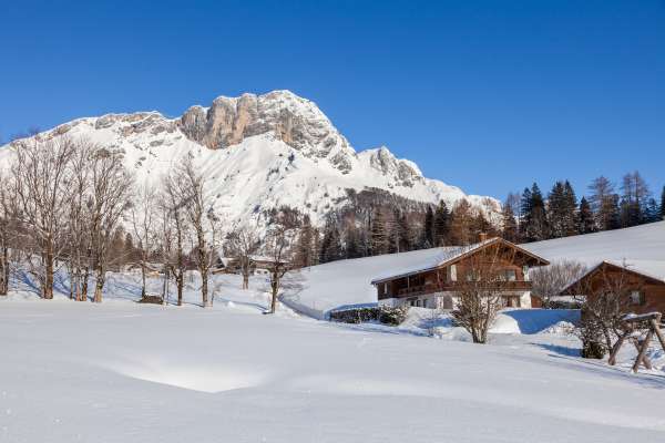 Bild aus der Galerie