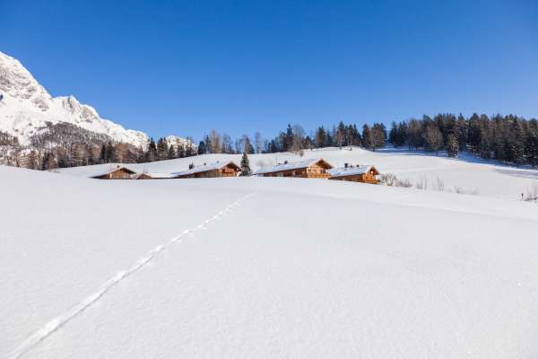 Bild aus der Galerie