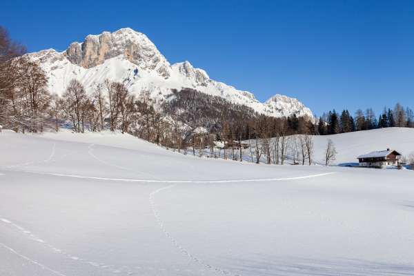 Bild aus der Galerie