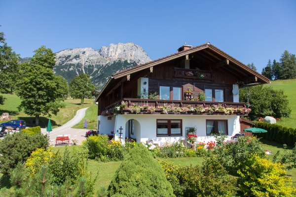 Bild aus der Galerie