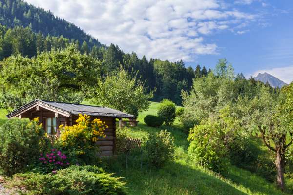 Bild aus der Galerie