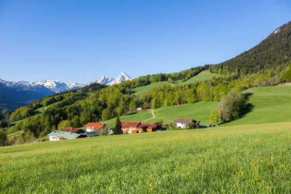 Bild aus der Galerie