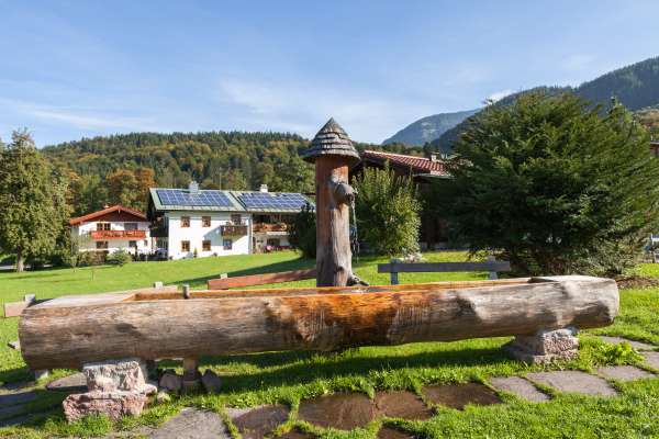 Bild aus der Galerie