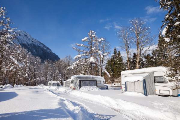 Bild aus der Galerie