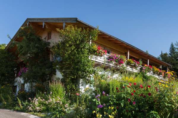 Bild aus der Galerie