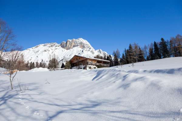 Bild aus der Galerie