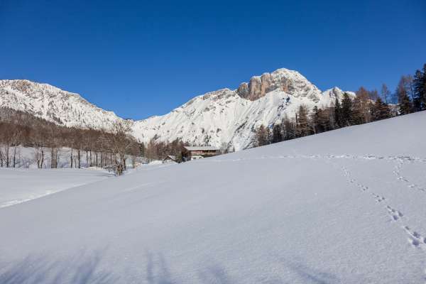 Bild aus der Galerie