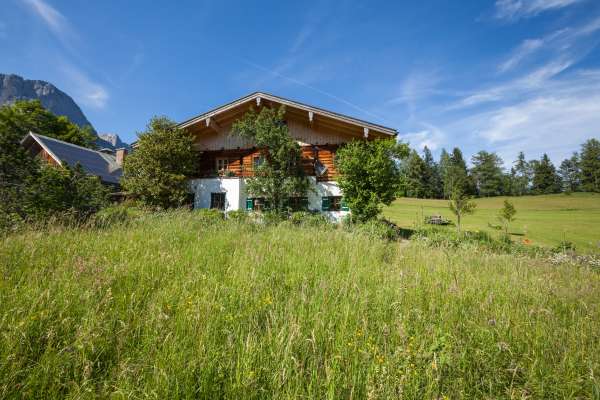 Bild aus der Galerie