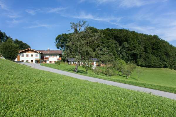 Bild aus der Galerie