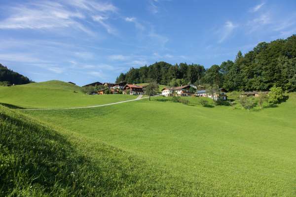 Bild aus der Galerie