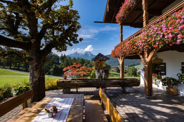 Bild aus der Galerie